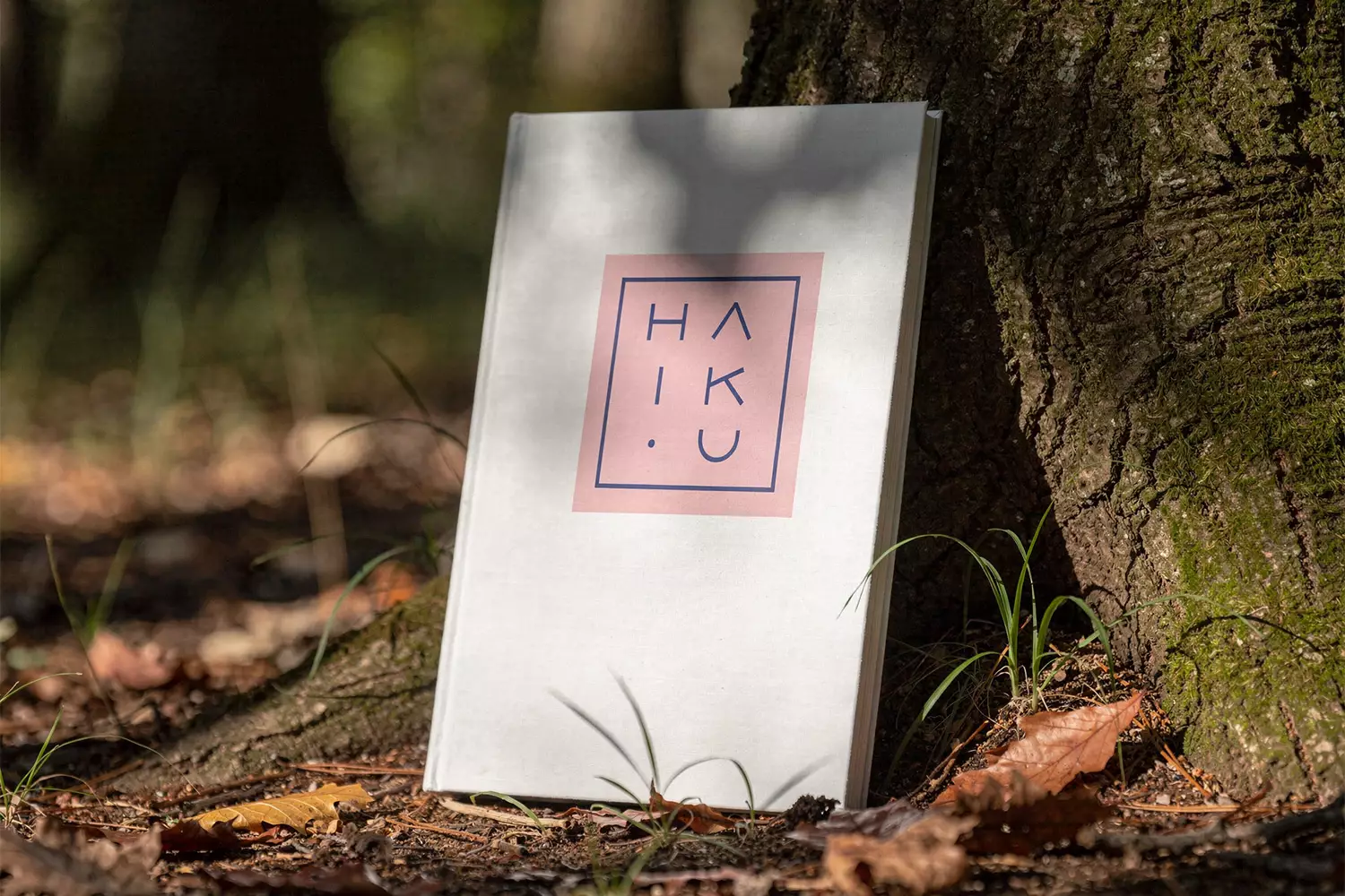 Haiku dla dzieci – projekt zakończony
