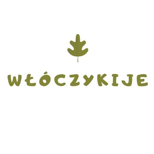 Włóczykije – spacery z kijkami dla Wrzeszczan